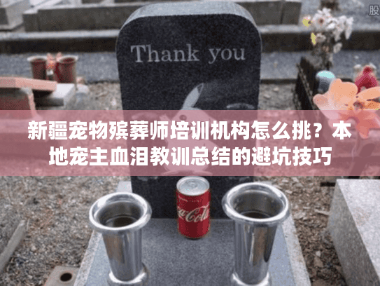 新疆宠物殡葬师培训机构怎么挑？本地宠主血泪教训总结的避坑技巧