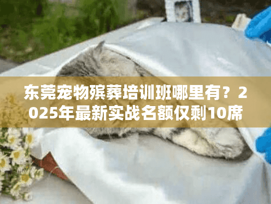 东莞宠物殡葬培训班哪里有?2025年最新实战名额仅剩10席! 东莞宠物殡葬培训班哪里有?2025年最新实战名额仅剩10席!