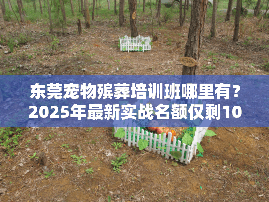 东莞宠物殡葬培训班哪里有?2025年最新实战名额仅剩10席! 东莞宠物殡葬培训班哪里有?2025年最新实战名额仅剩10席!