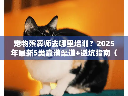 宠物殡葬师去哪里培训？2025年最新5类靠谱渠道+避坑指南（附真实案例）