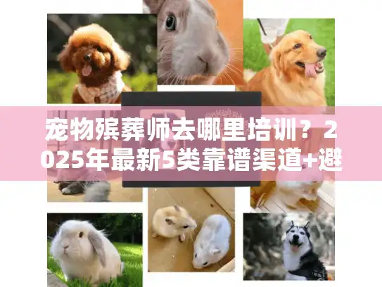 宠物殡葬师去哪里培训？2025年最新5类靠谱渠道+避坑指南（附真实案例）