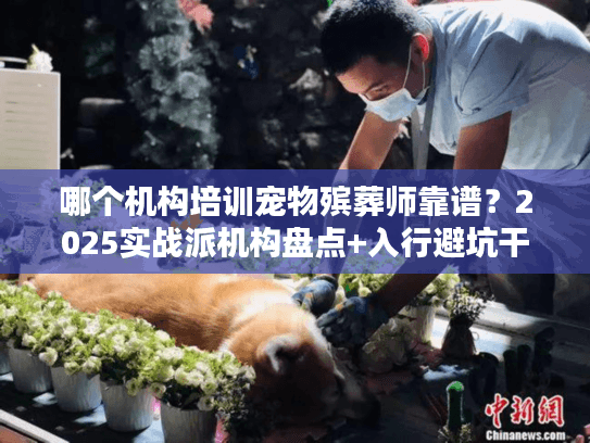 哪个机构培训宠物殡葬师靠谱？2025实战派机构盘点+入行避坑干货