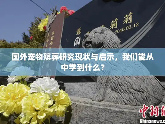 国外宠物殡葬研究现状与启示，我们能从中学到什么？
