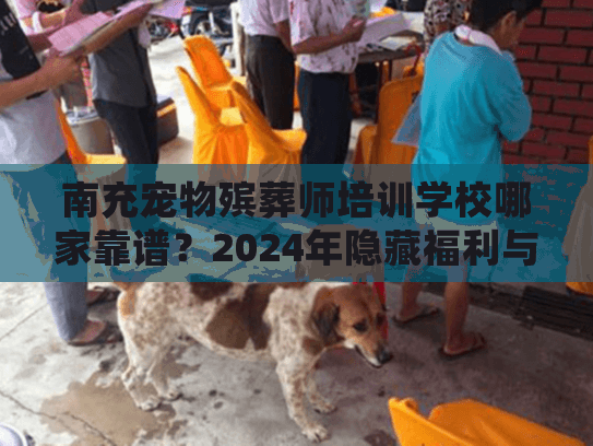 南充宠物殡葬师培训学校哪家靠谱？2024年隐藏福利与真实学员案例揭秘