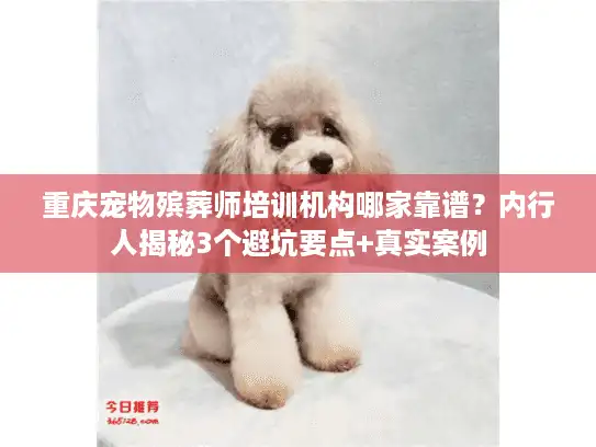 重庆宠物殡葬师培训机构哪家靠谱?内行人揭秘3个避坑要点+真实案例 重庆宠物殡葬师培训机构哪家靠谱?内行人揭秘3个避坑要点+真实案例