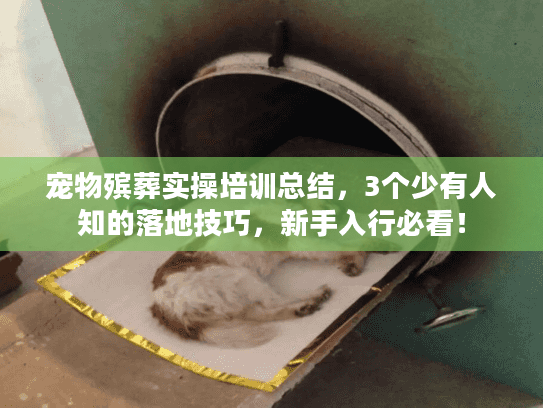宠物殡葬实操培训总结，3个少有人知的落地技巧，新手入行必看！