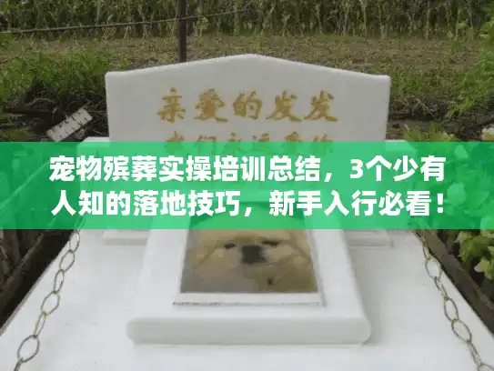 宠物殡葬实操培训总结，3个少有人知的落地技巧，新手入行必看！