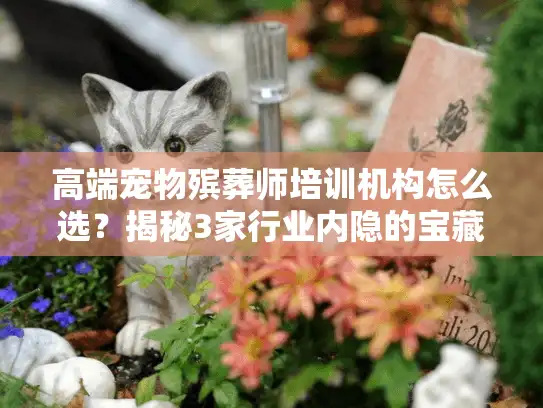 高端宠物殡葬师培训机构怎么选？揭秘3家行业内隐的宝藏机构（附实操案例）