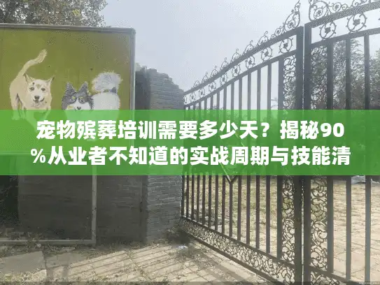 宠物殡葬培训需要多少天？揭秘90%从业者不知道的实战周期与技能清单