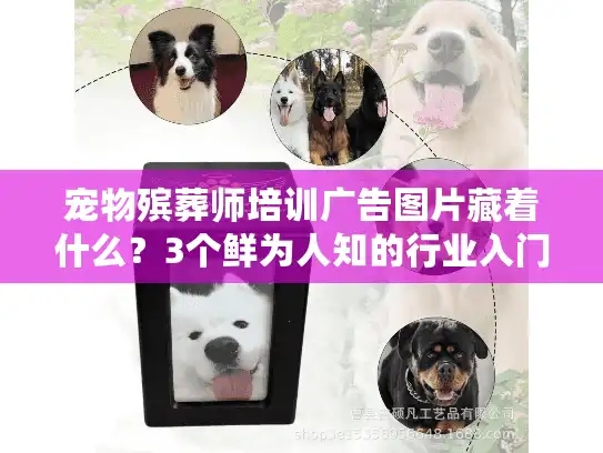 宠物殡葬师培训广告图片藏着什么？3个鲜为人知的行业入门机会你错过没？