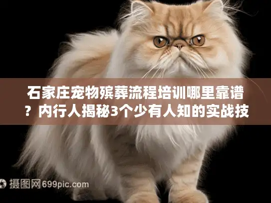 石家庄宠物殡葬流程培训哪里靠谱?内行人揭秘3个少有人知的实战技巧 石家庄宠物殡葬流程培训哪里靠谱?内行人揭秘3个少有人知的实战技巧