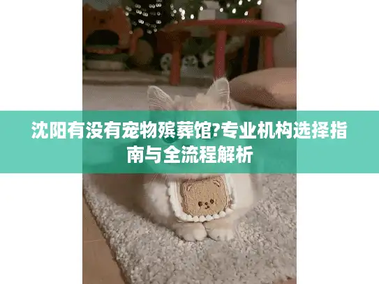 沈阳有没有宠物殡葬馆?专业机构选择指南与全流程解析 沈阳有没有宠物殡葬馆?专业机构选择指南与全流程解析