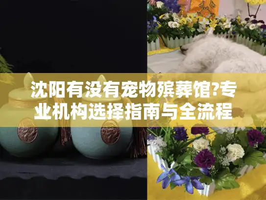 沈阳有没有宠物殡葬馆?专业机构选择指南与全流程解析 沈阳有没有宠物殡葬馆?专业机构选择指南与全流程解析