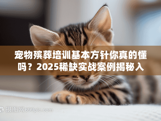 宠物殡葬培训基本方针你真的懂吗？2025稀缺实战案例揭秘入行核心