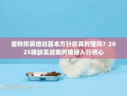 宠物殡葬培训基本方针你真的懂吗？2025稀缺实战案例揭秘入行核心