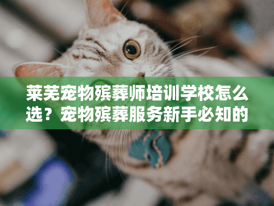 莱芜宠物殡葬师培训学校怎么选？宠物殡葬服务新手必知的5个真相