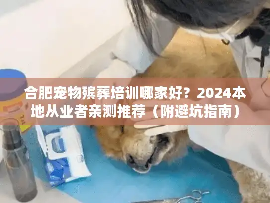 合肥宠物殡葬培训哪家好？2024本地从业者亲测推荐（附避坑指南）