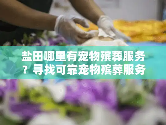盐田哪里有宠物殡葬服务？寻找可靠宠物殡葬服务指南