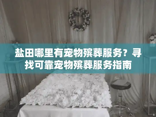 盐田哪里有宠物殡葬服务？寻找可靠宠物殡葬服务指南