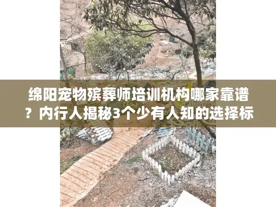 绵阳宠物殡葬师培训机构哪家靠谱?内行人揭秘3个少有人知的选择标准 绵阳宠物殡葬师培训机构哪家靠谱?内行人揭秘3个少有人知的选择标准