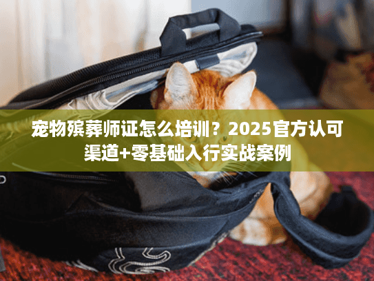 宠物殡葬师证怎么培训?2025官方认可渠道+零基础入行实战案例 宠物殡葬师证怎么培训?2025官方认可渠道+零基础入行实战案例