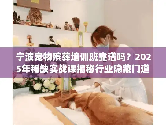 宁波宠物殡葬培训班靠谱吗？2025年稀缺实战课揭秘行业隐藏门道