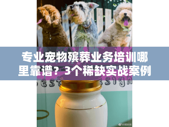 专业宠物殡葬业务培训哪里靠谱？3个稀缺实战案例教你选对方向