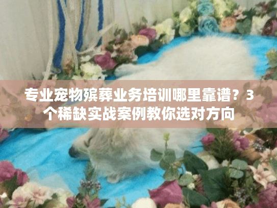 专业宠物殡葬业务培训哪里靠谱？3个稀缺实战案例教你选对方向