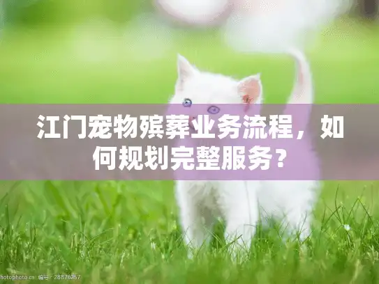 江门宠物殡葬业务流程,如何规划完整服务? 江门宠物殡葬业务流程,如何规划完整服务?