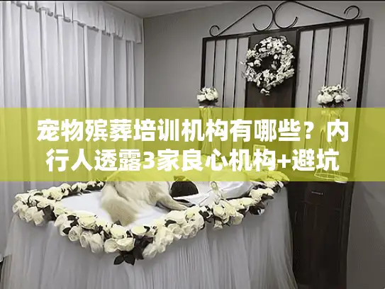 宠物殡葬培训机构有哪些？内行人透露3家良心机构+避坑技巧（2025最新）