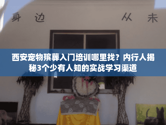 西安宠物殡葬入门培训哪里找？内行人揭秘3个少有人知的实战学习渠道