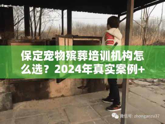 保定宠物殡葬培训机构怎么选?2024年真实案例+内行人避坑技巧 保定宠物殡葬培训机构怎么选?2024年真实案例+内行人避坑技巧