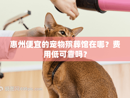 惠州便宜的宠物殡葬馆在哪？费用低可靠吗？