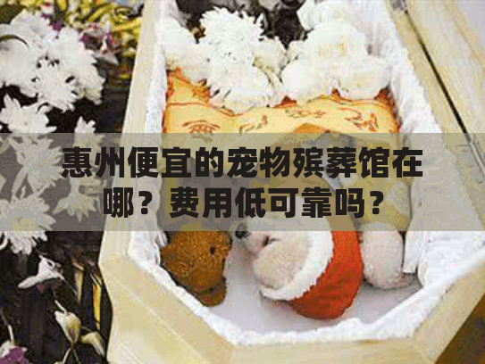 惠州便宜的宠物殡葬馆在哪？费用低可靠吗？