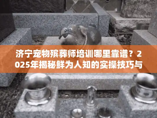 济宁宠物殡葬师培训哪里靠谱？2025年揭秘鲜为人知的实操技巧与行业内幕