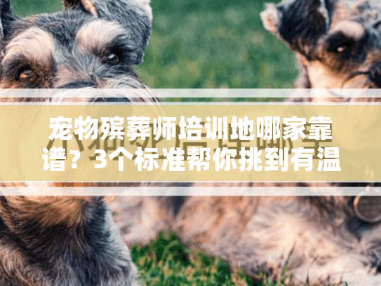 宠物殡葬师培训地哪家靠谱？3个标准帮你挑到有温度的服务