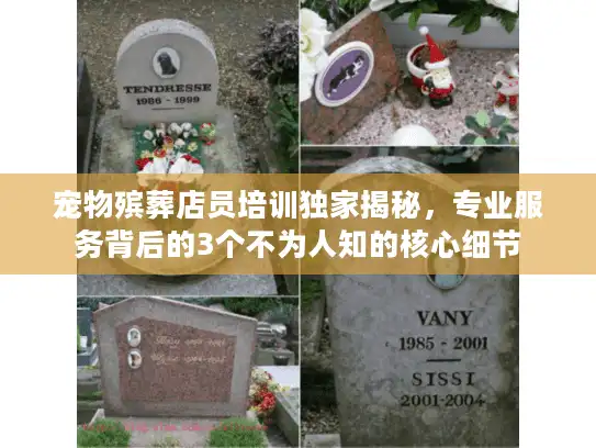 宠物殡葬店员培训独家揭秘，专业服务背后的3个不为人知的核心细节