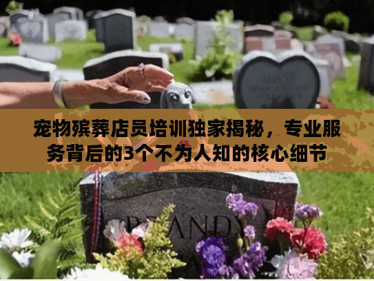 宠物殡葬店员培训独家揭秘，专业服务背后的3个不为人知的核心细节