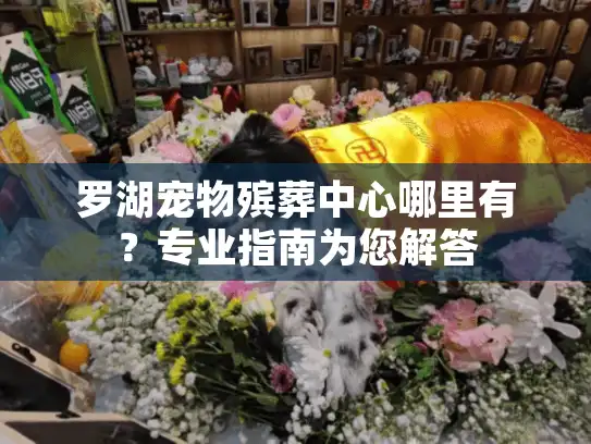 罗湖宠物殡葬中心哪里有？专业指南为您解答