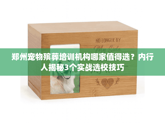 郑州宠物殡葬培训机构哪家值得选?内行人揭秘3个实战选校技巧 郑州宠物殡葬培训机构哪家值得选?内行人揭秘3个实战选校技巧