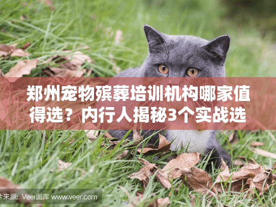 郑州宠物殡葬培训机构哪家值得选?内行人揭秘3个实战选校技巧 郑州宠物殡葬培训机构哪家值得选?内行人揭秘3个实战选校技巧