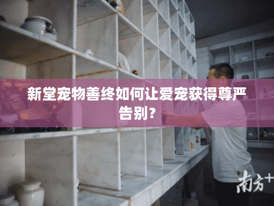 新堂宠物善终如何让爱宠获得尊严告别？