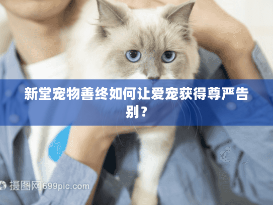 新堂宠物善终如何让爱宠获得尊严告别？