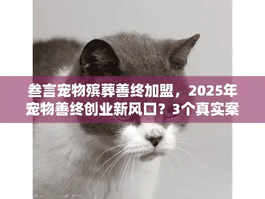 叁言宠物殡葬善终加盟，2025年宠物善终创业新风口？3个真实案例告诉你答案