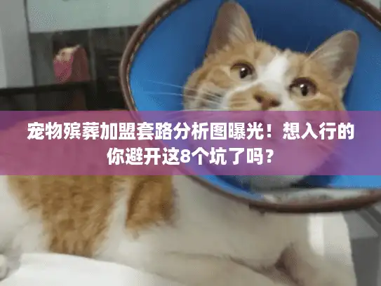 宠物殡葬加盟套路分析图曝光！想入行的你避开这8个坑了吗？