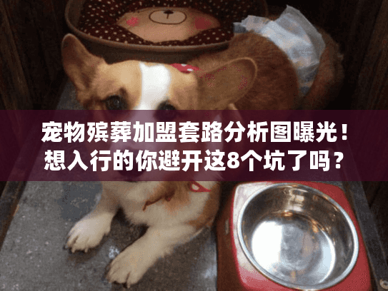 宠物殡葬加盟套路分析图曝光！想入行的你避开这8个坑了吗？