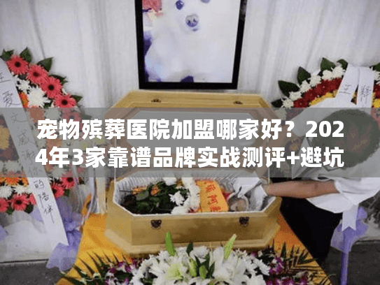 宠物殡葬医院加盟哪家好？2024年3家靠谱品牌实战测评+避坑要点