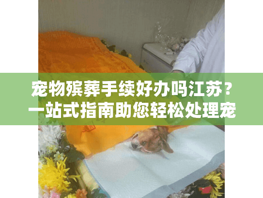 宠物殡葬手续好办吗江苏？一站式指南助您轻松处理宠物身后事