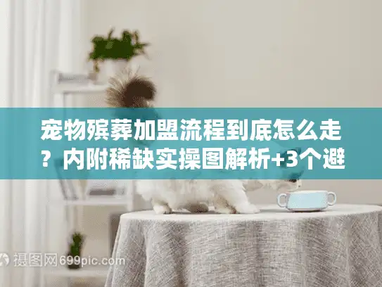 宠物殡葬加盟流程到底怎么走？内附稀缺实操图解析+3个避坑案例！