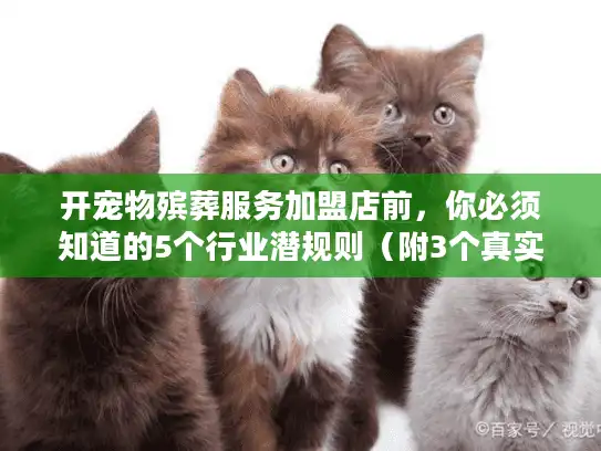 开宠物殡葬服务加盟店前，你必须知道的5个行业潜规则（附3个真实成功案例）